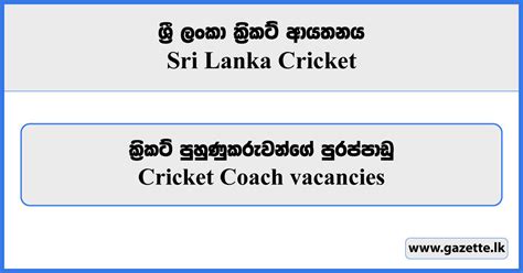 cricket coach vacancies 2024.